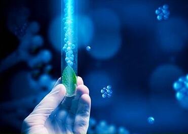 生物公司起名字大全免费(精选600个)