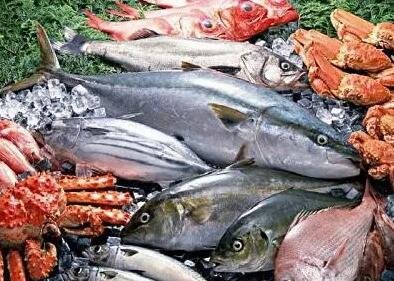 水产商标起名字大全(精选200个)