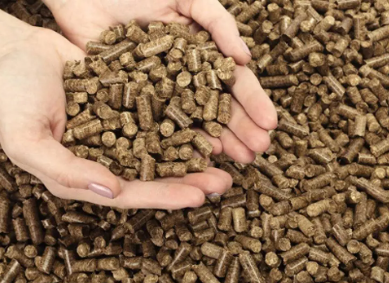 饲料品牌取名大全(精选600个)