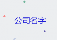 2025年好听吉祥的公司名字