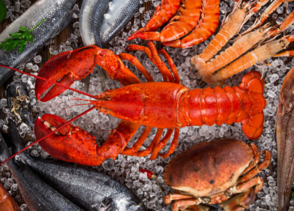 水产注册品牌取名,好听的水产商标名称